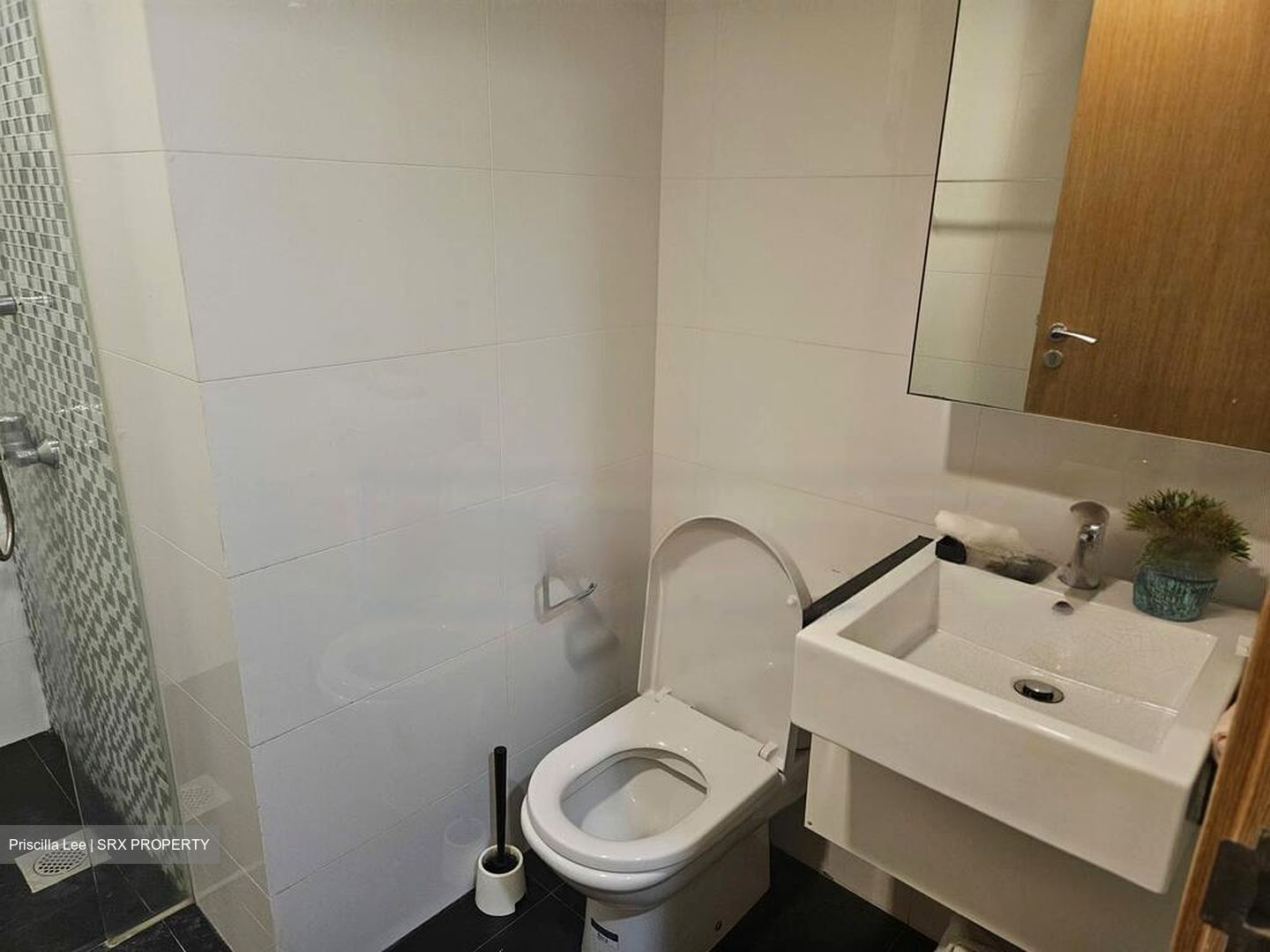 Oasis @ Elias (D18), Condominium #475505451